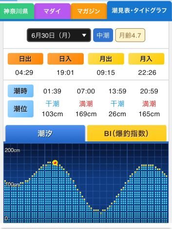 2025.06.30 太田屋 午前アジ
